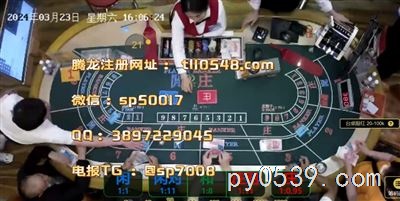 騰龍國際：解鎖澳門賭場的秘密寶藏！?????