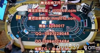 騰龍國際：澳門賭場最潮玩法！?????