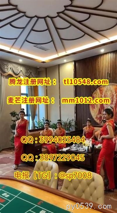 騰龍國際：澳門賭場，兄弟們一起玩！????
